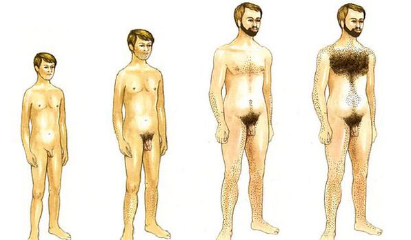 the growing up of a man and the size of the penis